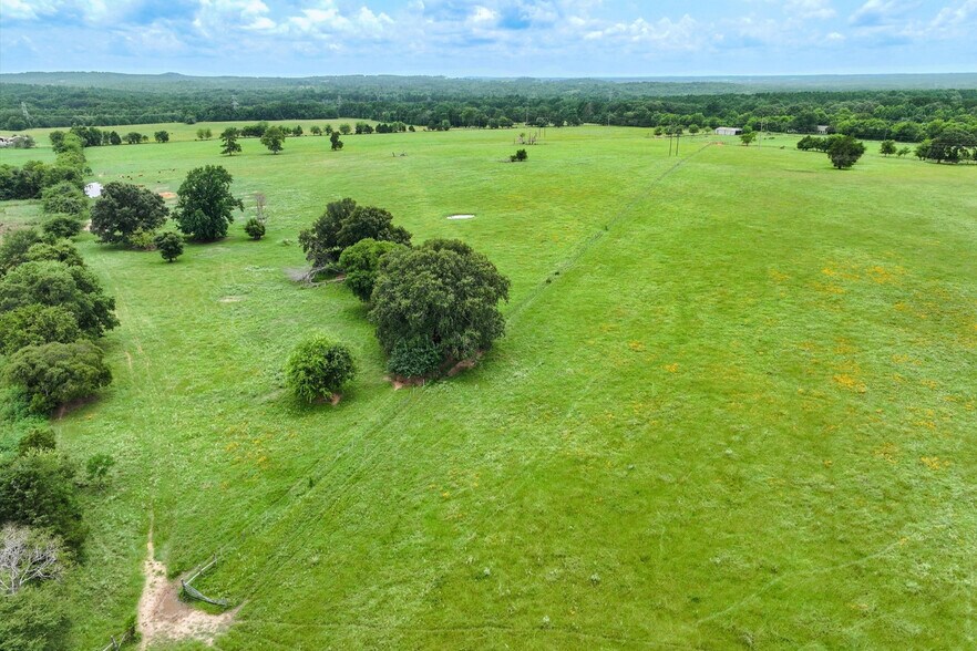 Tract 4 FM 855, Jacksonville, TX à vendre - Photo de l’immeuble – Image 3 sur 16