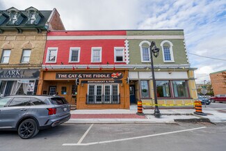 Plus de détails pour 49 William St N, Kawartha Lakes, ON - Local commercial à vendre