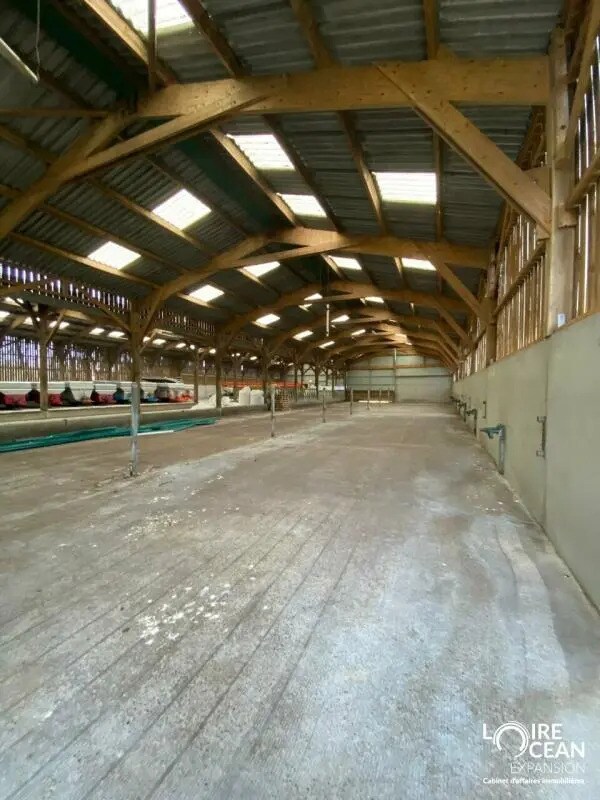 Plus de détails pour Local d’activités à vendre