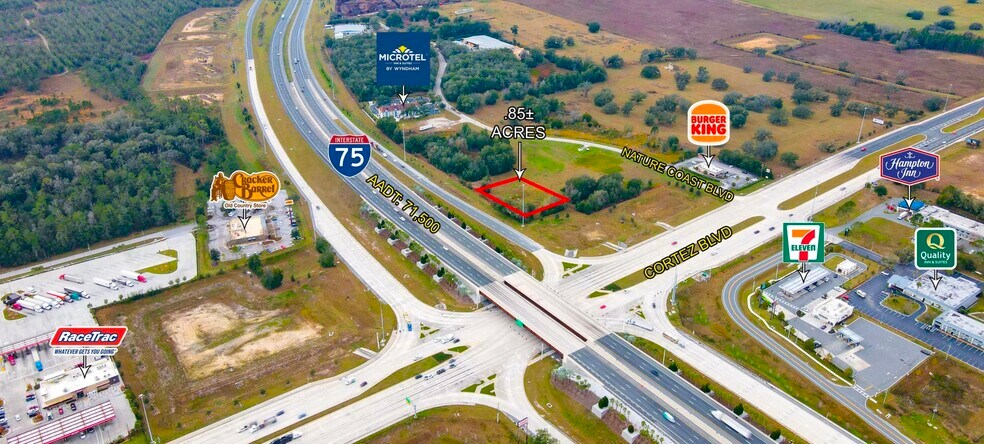 6430 Nature Coast Blvd, Brooksville, FL à vendre - Photo de l’immeuble – Image 1 sur 2