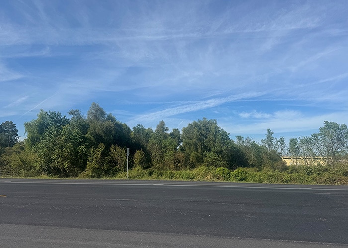 Tracts 21 & 22 W Airline Highway Hwy, Reserve, LA à vendre - Photo principale – Image 1 sur 3