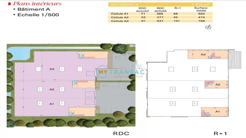 Local d'activités dans Bondoufle à vendre - Plan d’étage – Image 3 sur 6