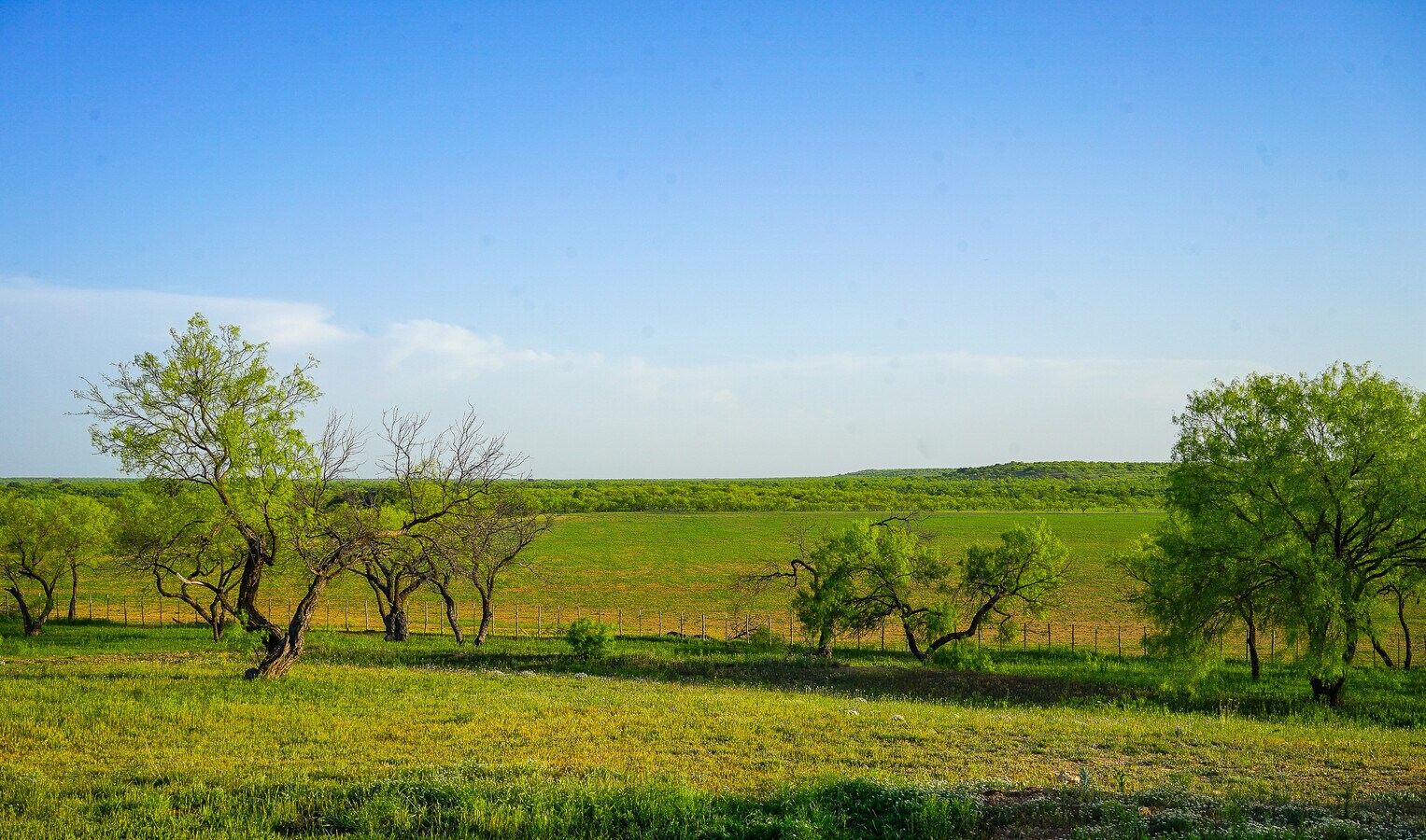 View Photo
