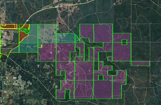 Plus de détails pour New Connell Grade, Perry, FL - Terrain à vendre