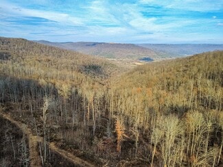 Plus de détails pour 126 Bolton Point Rd, South Pittsburg, TN - Terrain à vendre