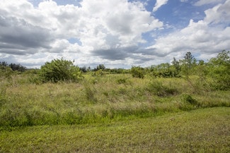 Plus de détails pour Pine Island Rd, Cape Coral, FL - Terrain à vendre