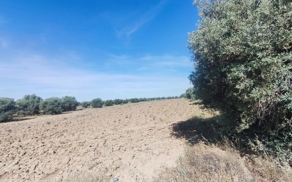 Terrain dans Illescas, Toledo à vendre - Autre – Image 3 sur 3