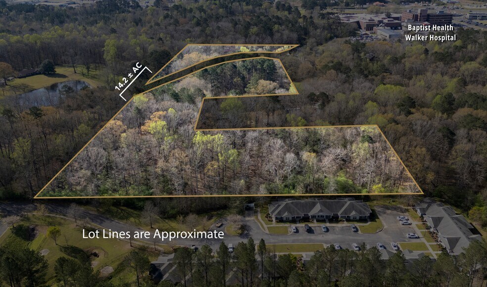 358 Blackwell Dairy Rd, Jasper, AL à vendre - Photo principale – Image 1 sur 5