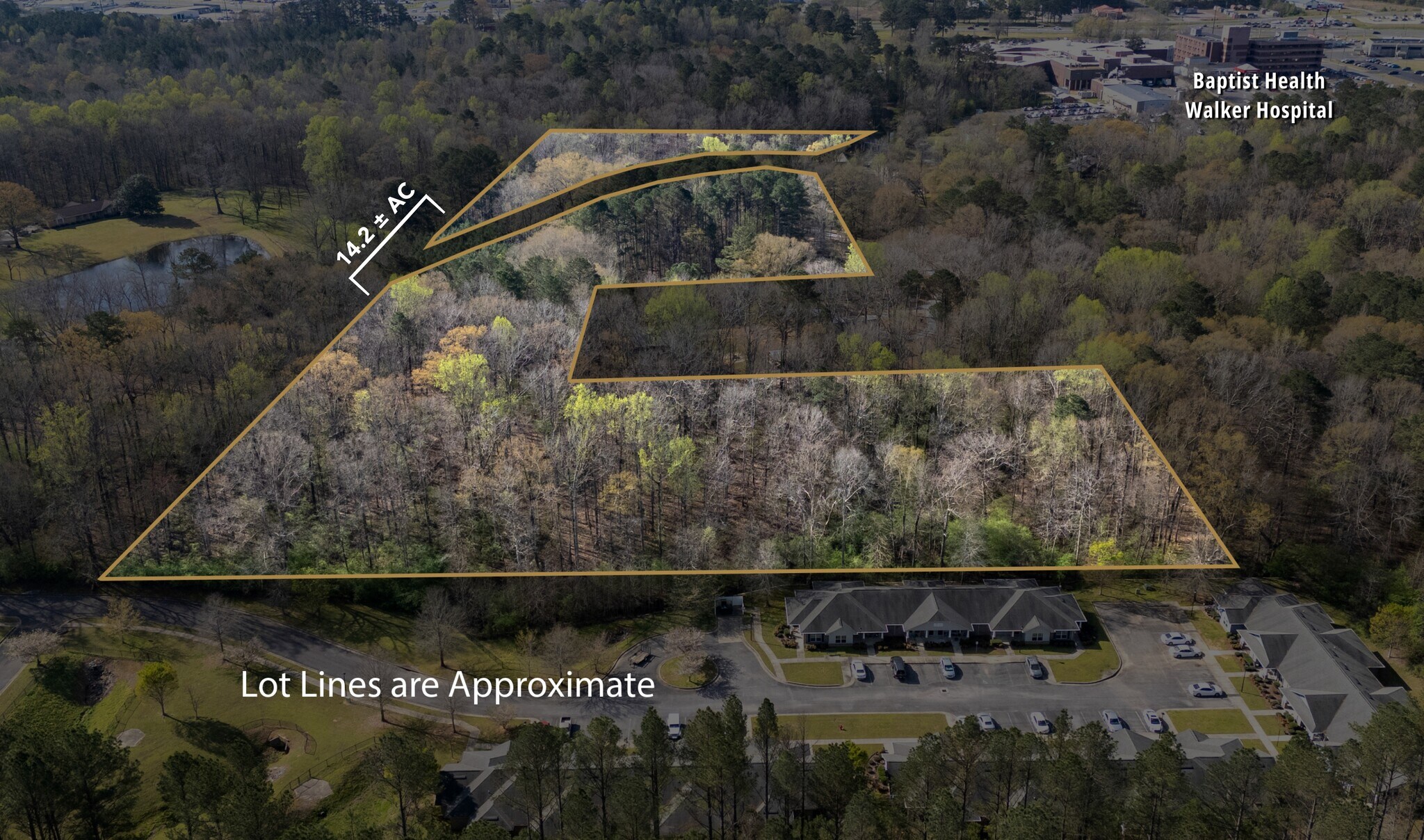 358 Blackwell Dairy Rd, Jasper, AL à vendre Photo principale– Image 1 sur 6