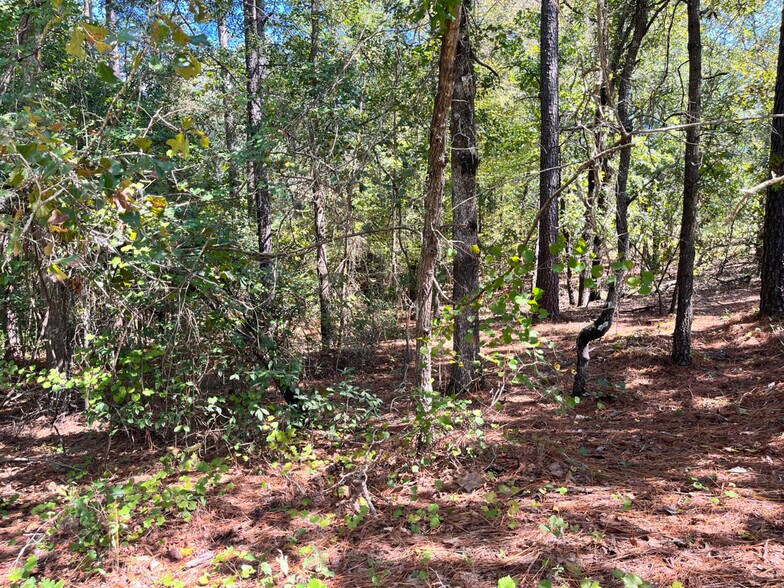 Aiken Rd, Vass, NC à vendre - Photo de l’immeuble – Image 3 sur 19