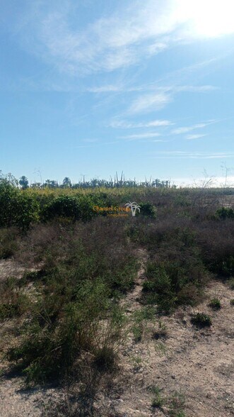 Terrain dans Elche, Alicante à vendre - Plan de site – Image 2 sur 4