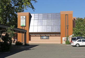 Plus de détails pour 535 Placerville Dr, Placerville, CA - Local commercial à vendre