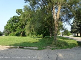 Plus de détails pour 10980 S M52 Rd, Perry, MI - Terrain à vendre