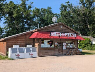 Plus de détails pour 17275 Caberfae Hwy, Wellston, MI - Local commercial à vendre