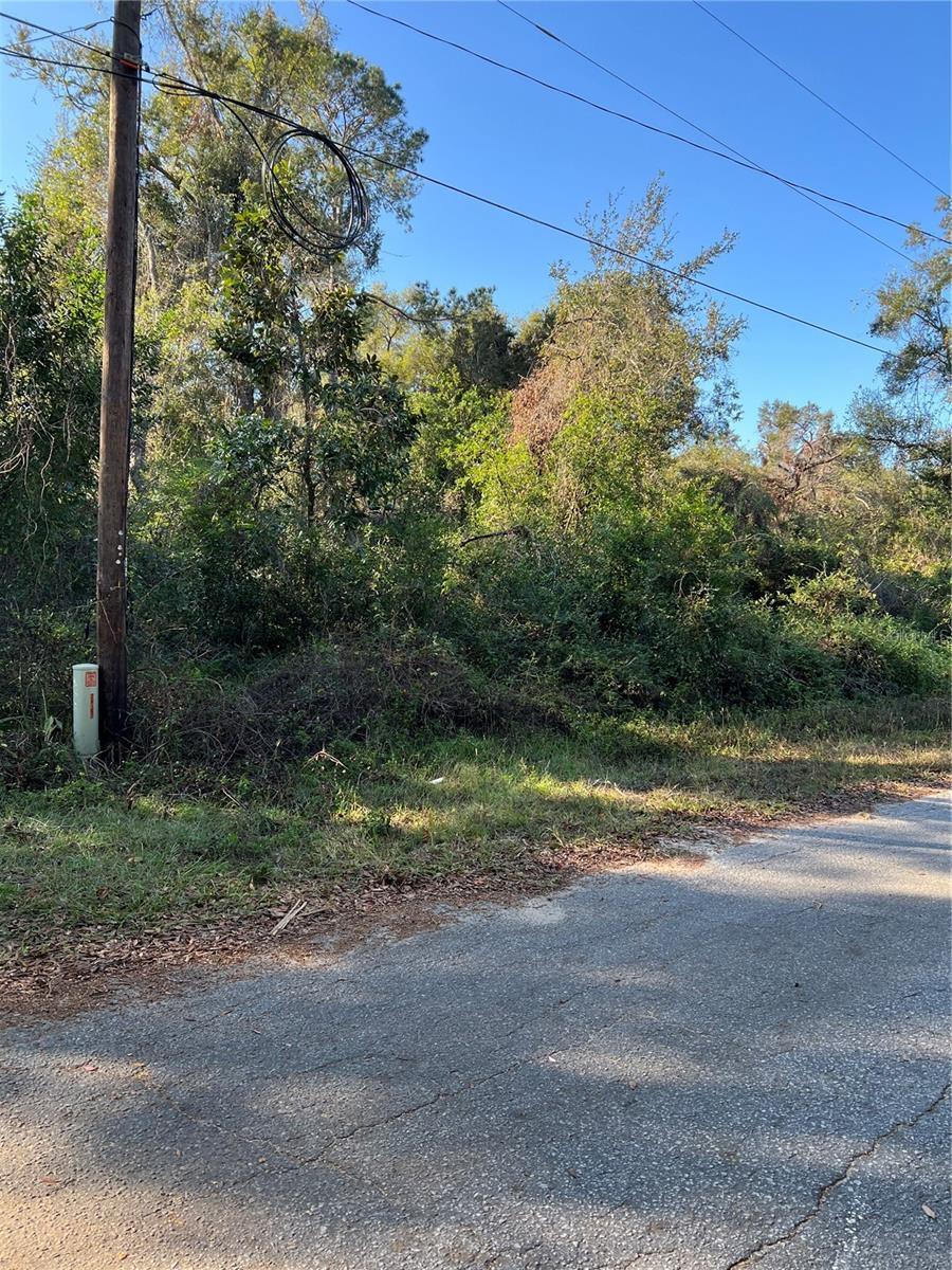 County Road 690, Webster, FL à vendre Autre– Image 1 sur 5