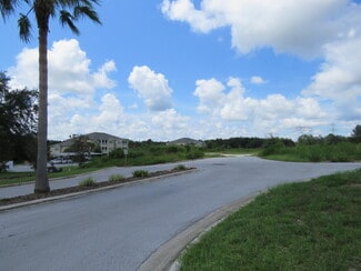 Plus de détails pour W Norvell Bryant hwy, Crystal River, FL - Terrain à vendre