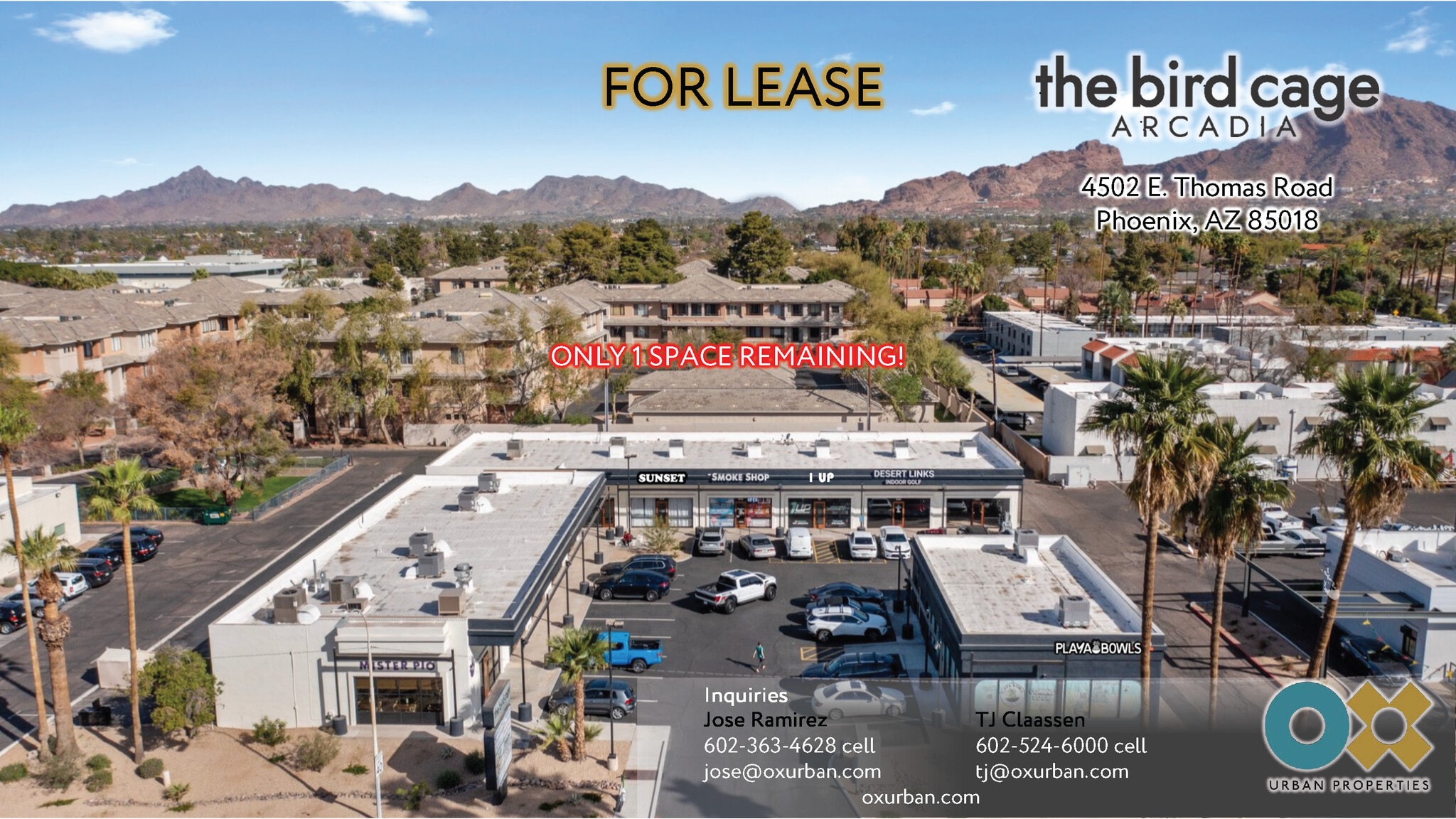 4502-4528 E Thomas Rd, Phoenix, AZ à louer Photo intérieure– Image 1 sur 15