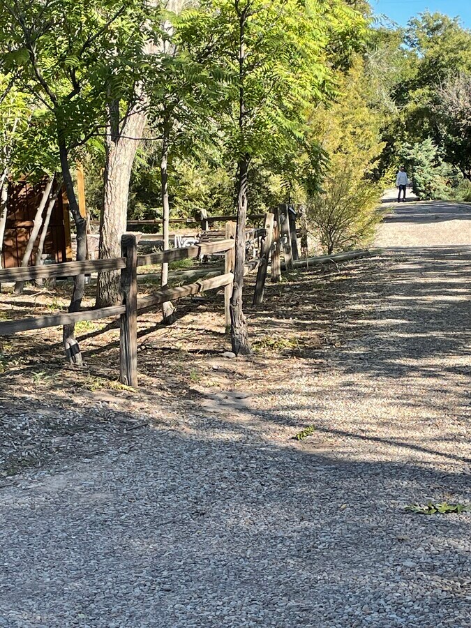 View Photo