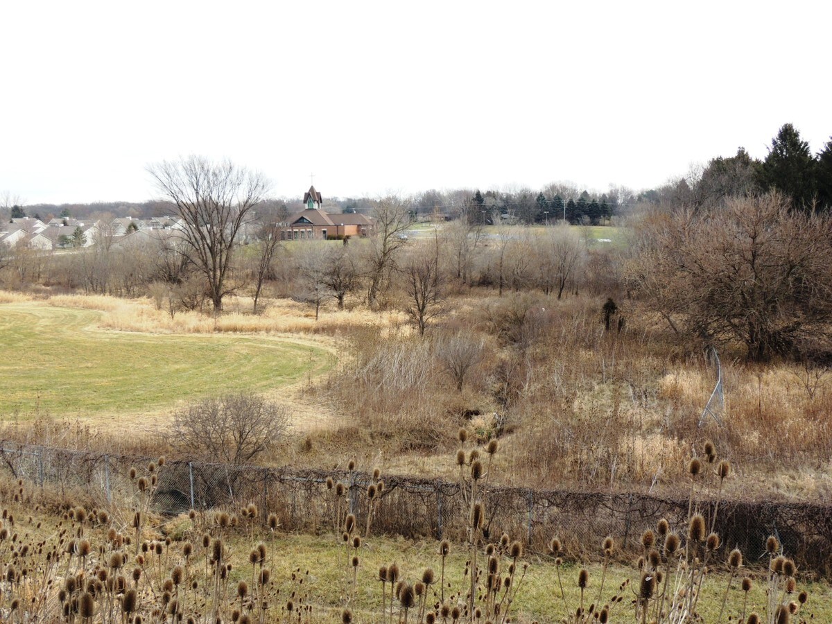 View Photo