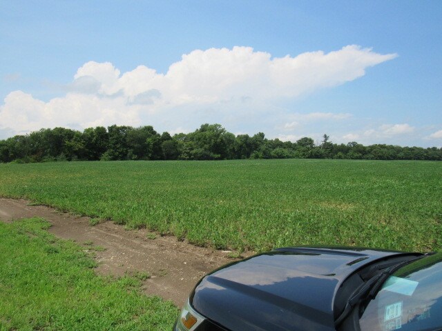 View Photo
