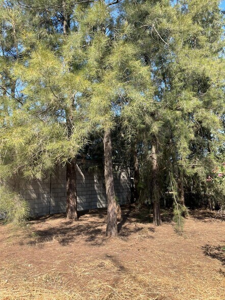 Terrain dans Sanlúcar la Mayor, Sevilla à vendre - Photo de l’immeuble – Image 3 sur 11