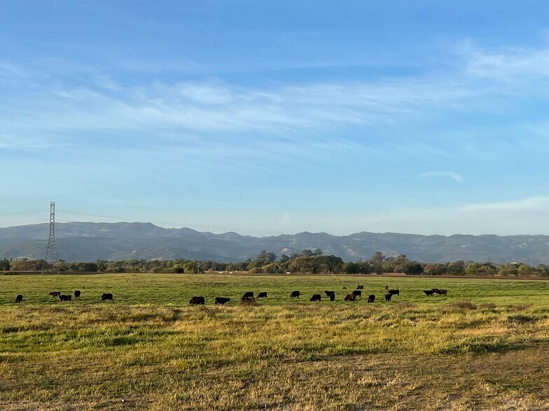 22100 Arnold Drive, Sonoma, CA à vendre - Aérien – Image 1 sur 10