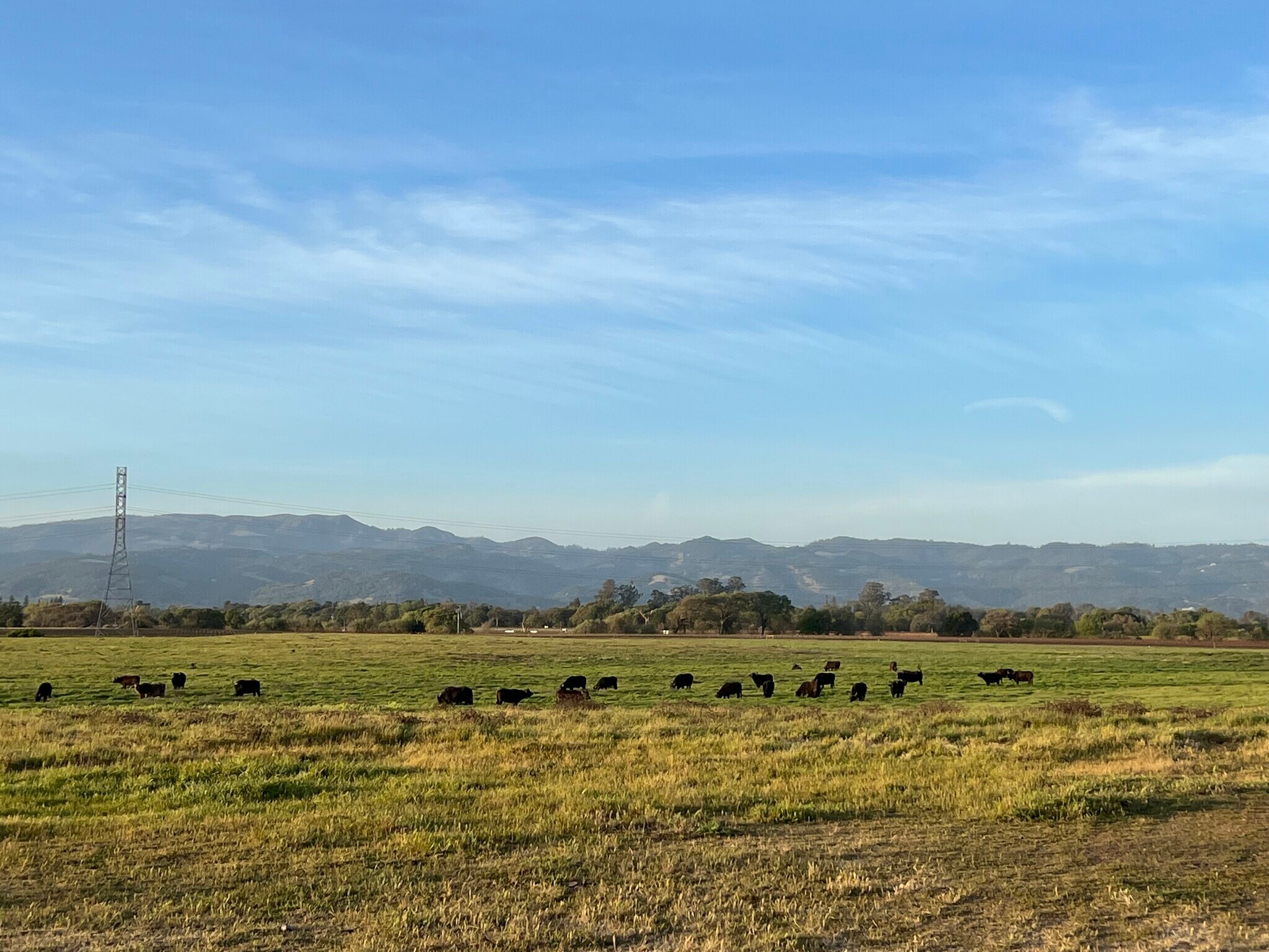 22100 Arnold Drive, Sonoma, CA à vendre Aérien– Image 1 sur 11
