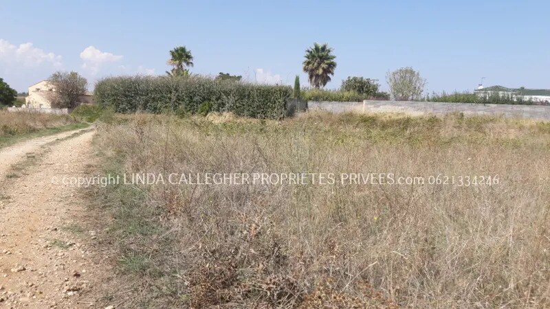 Terrain dans Pézenas à vendre - Photo de l’immeuble – Image 3 sur 5