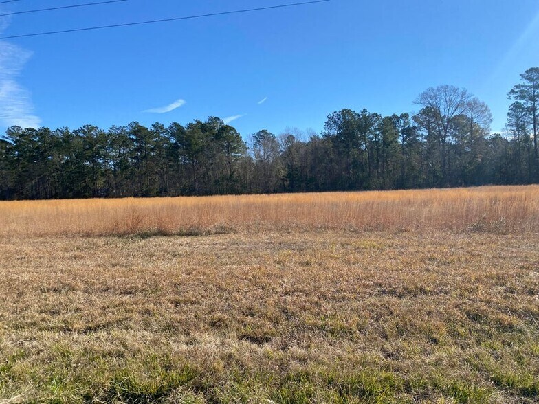 TBD Lake Charles Highway, Leesville, LA à vendre - Photo principale – Image 1 sur 1