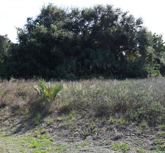 Plus de détails pour 913-921 Tamiami Trl, Port Charlotte, FL - Terrain à vendre