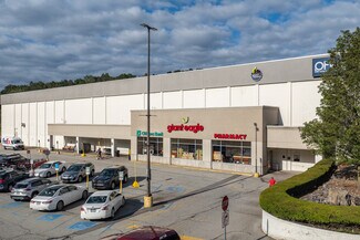 Plus de détails pour 230 Rodi Rd, Pittsburgh, PA - Local commercial à louer
