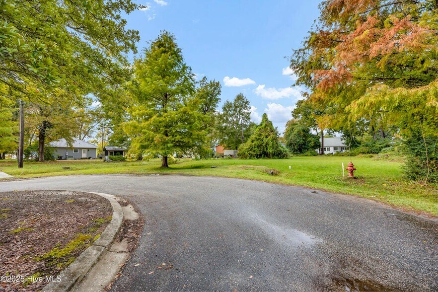 205 Nancy St, Lake Waccamaw, NC à vendre - Photo de l’immeuble – Image 3 sur 9