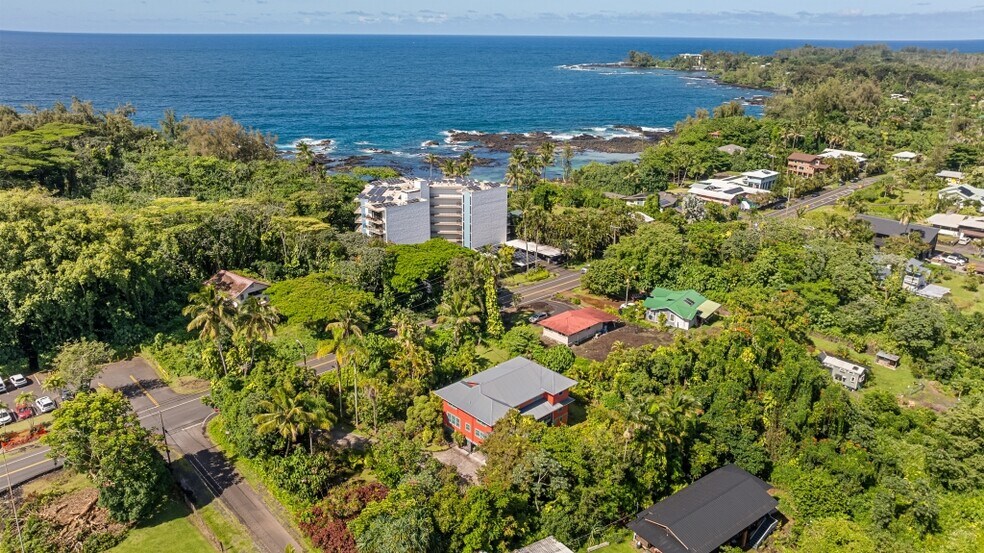1896 Kalanianaole St, Hilo, HI à vendre - Photo de l’immeuble – Image 3 sur 30