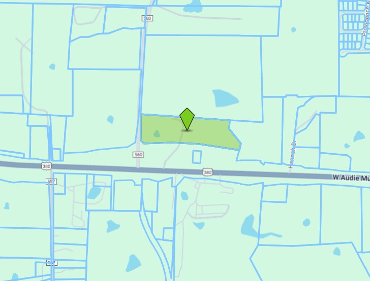 2728 West Audie Murphy Parkway, Farmersville, TX à vendre - Plan cadastral – Image 1 sur 1