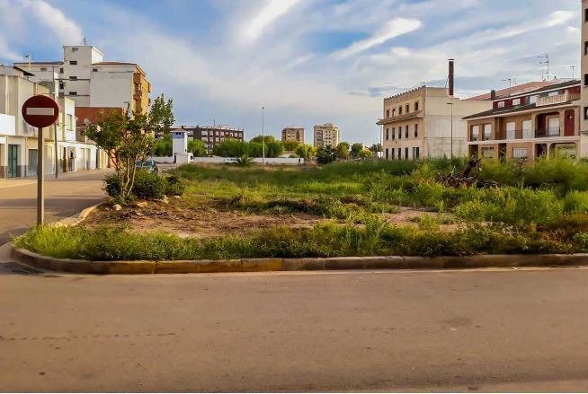 Terrain dans Carlet à vendre - Plan de site – Image 1 sur 5