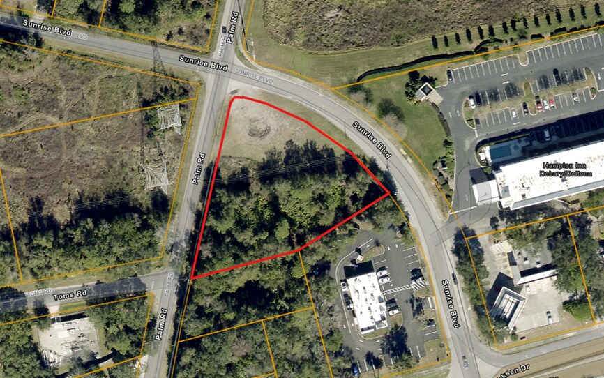 Palm Rd & Sunrise Blvd, DeBary, FL à vendre Aérien– Image 1 sur 3
