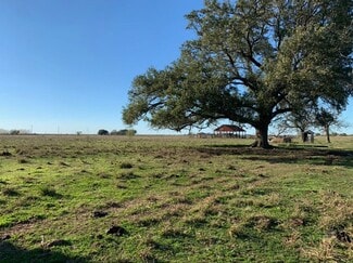 Plus de détails pour Doris Rd, Kendleton, TX - Terrain à vendre