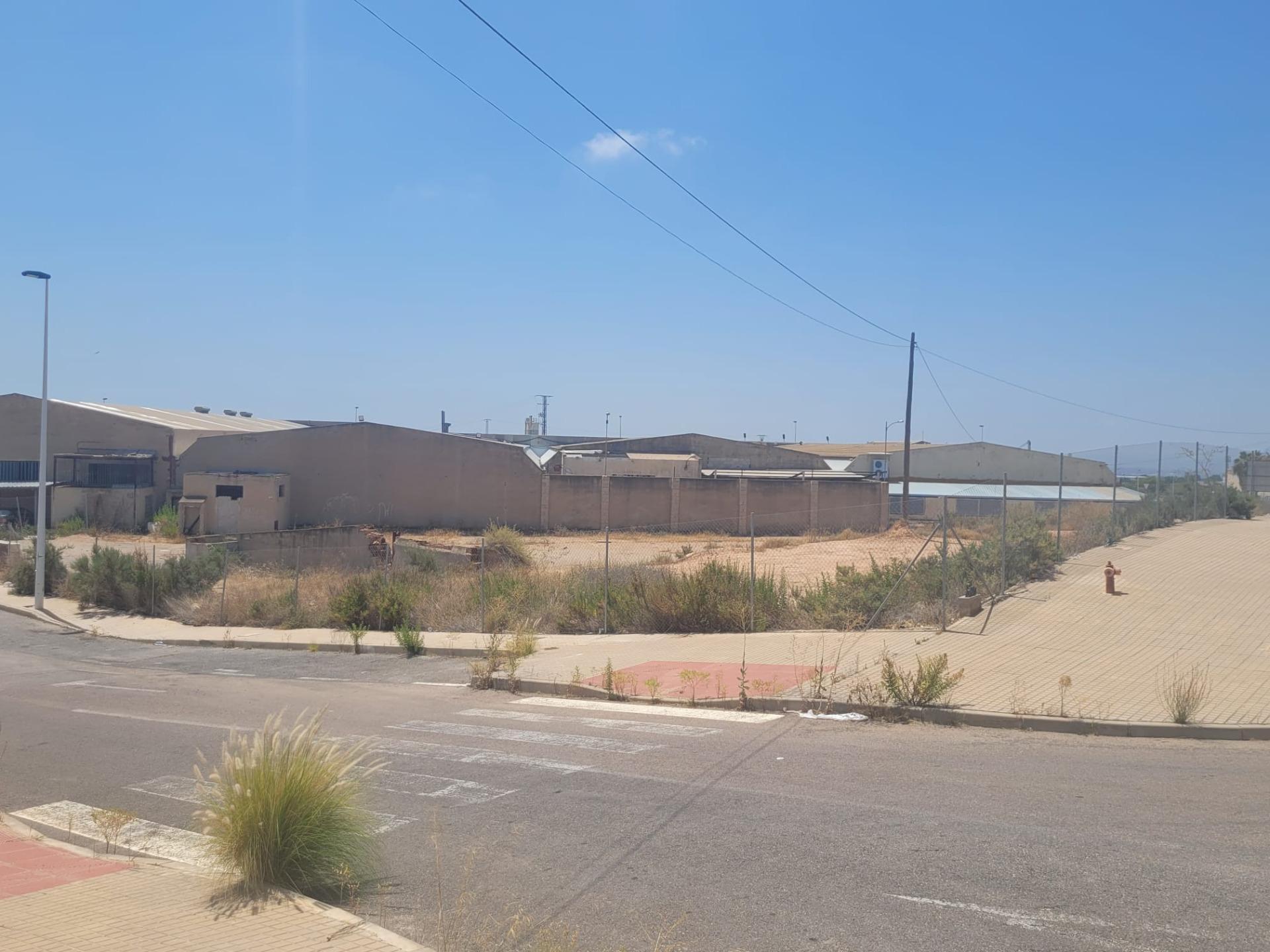 Terrain dans Crevillent, Alicante à vendre Autre– Image 1 sur 7