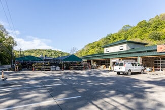 Plus de détails pour 509 Rochester Rd, Pittsburgh, PA - Local commercial, Industriel/Logistique à louer