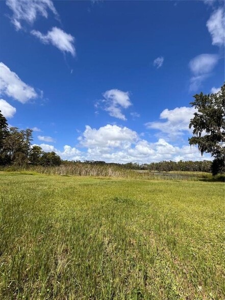 1029 Van Dyke Rd, Lutz, FL à vendre - Photo de l’immeuble – Image 3 sur 17