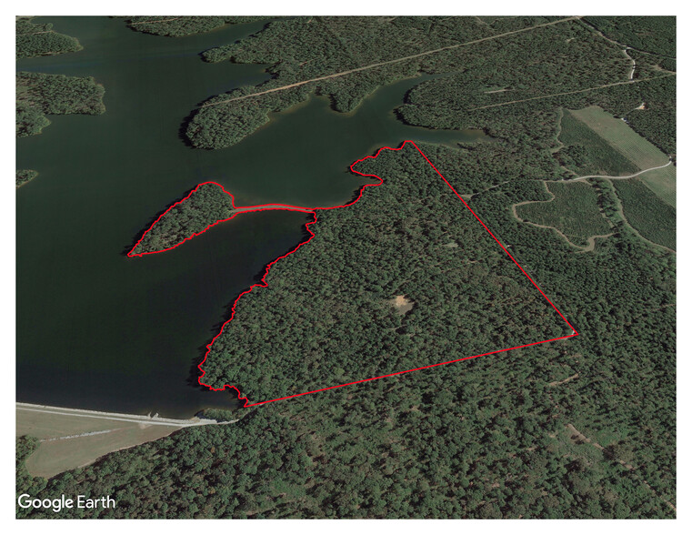 Upper Woolsey, Hampton, GA à vendre - Aérien – Image 1 sur 4