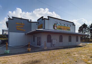 Plus de détails pour 4512 E M-21, Corunna, MI - Local commercial à vendre