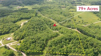 Plus de détails pour 5073 SALINEVILLE Rd, Carrollton, OH - Terrain à vendre