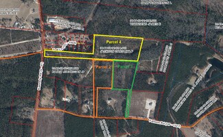 Plus de détails pour TBD Farnum Road, Orangeburg, SC - Terrain à vendre