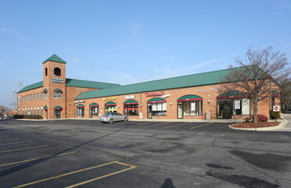 Plus de détails pour 15736-15760 S Bell Rd, Homer Glen, IL - Bureau/Médical à louer