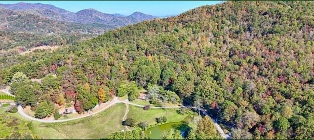 638 Chalet Village, Dillard, GA à vendre Photo principale– Image 1 sur 2