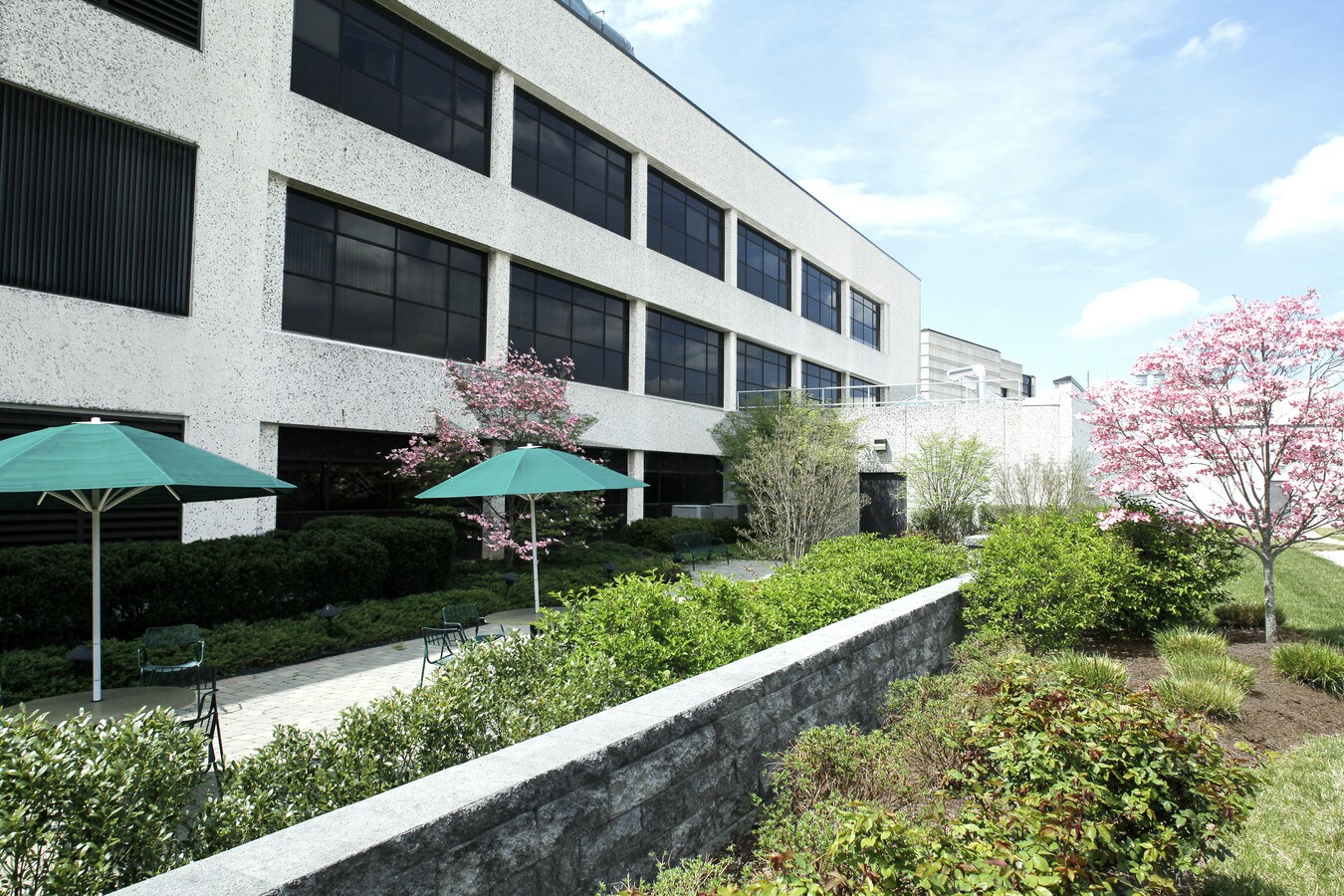 View Photo