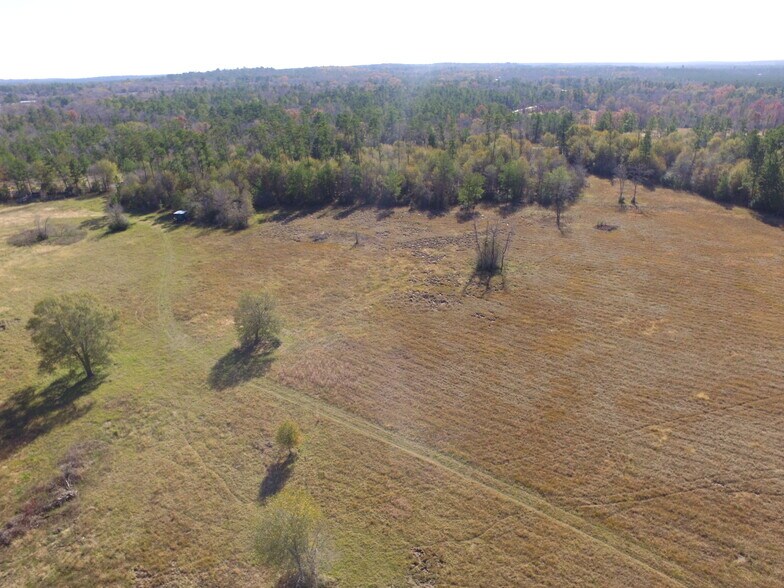 14.16 Ac Tract 2 TBD Percy Howard rd, Huntsville, TX à vendre - Photo de l’immeuble – Image 3 sur 4