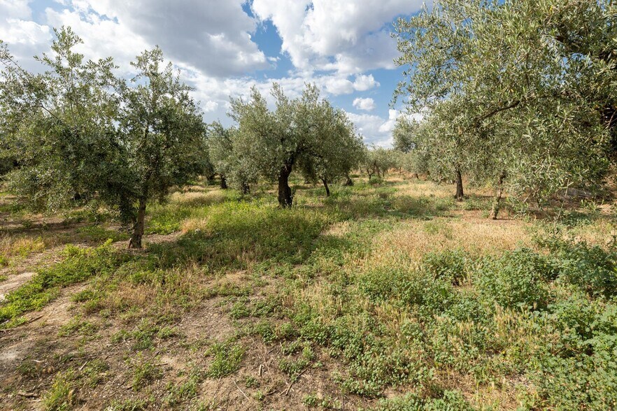 Pol, 1, Granada, Granada à vendre - Photo de l’immeuble – Image 3 sur 21