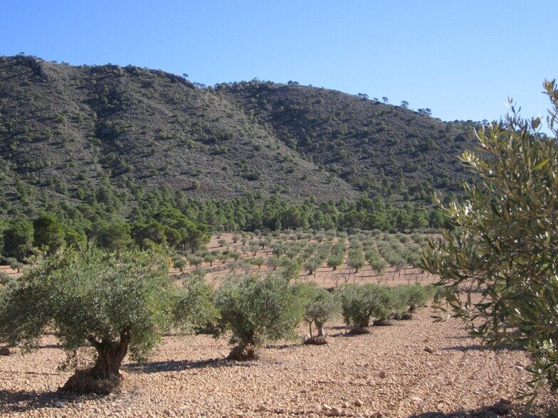Terrain dans MURCIA à vendre - Photo principale – Image 2 sur 6